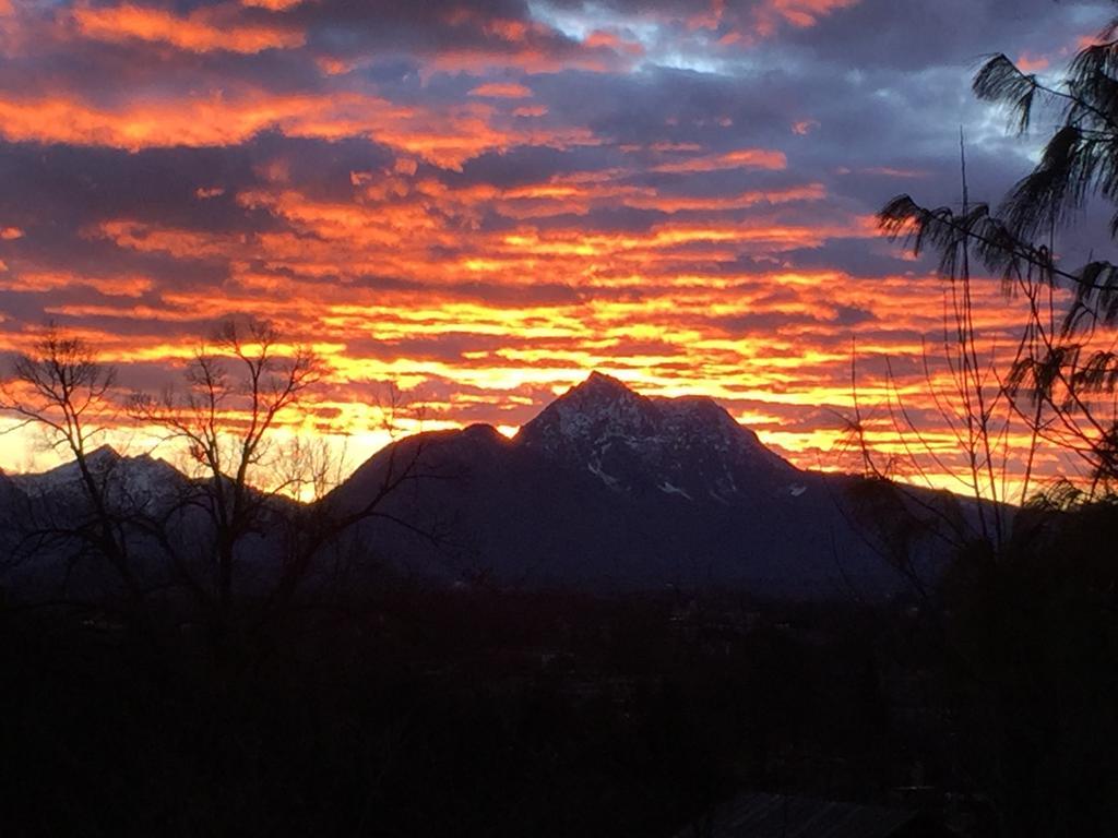 Villa Trapp Salzburg Oda fotoğraf